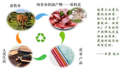 全天然高舒適度生態皮革減碳制造關鍵材料與技術研發