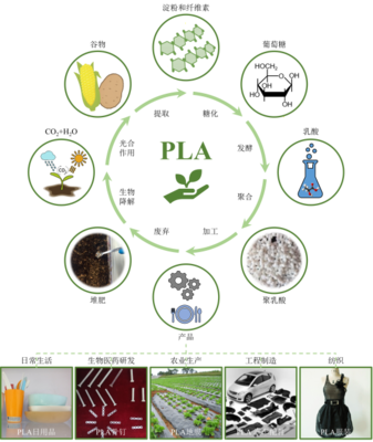 丁建勛 李鴻杰 楊佳臻(中國科學院長春應用化學研究所):新時代生物質降解材料聚乳酸,助力綠色環保的&ldquo;未來之鑰&rdquo;_作品展示